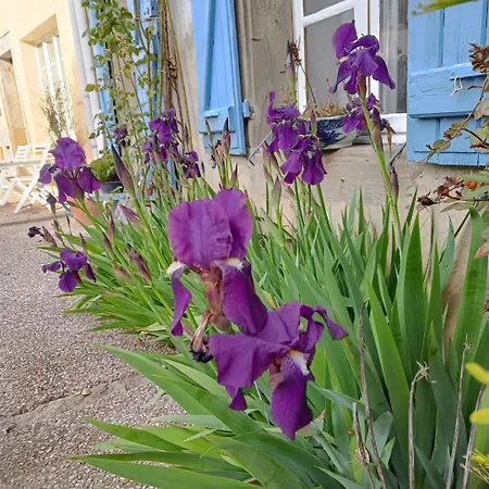 Les Lits De Montbel B&B