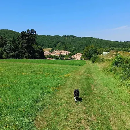 Les Lits De Montbel B&B 3*